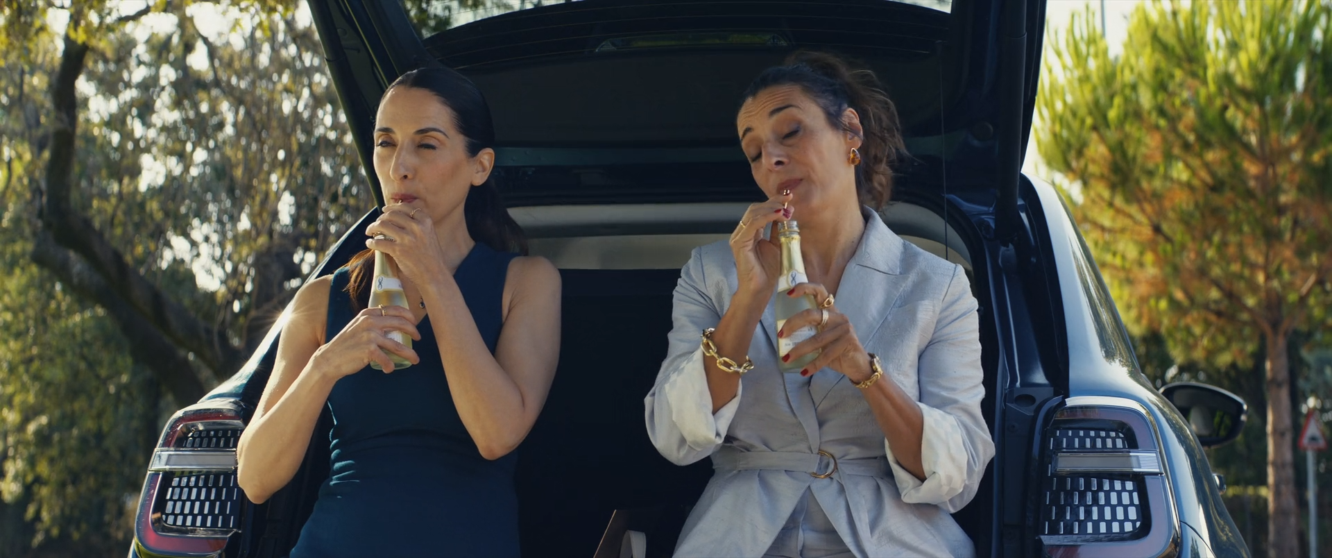 El casoplon 2025 WEB-DL 1080p.mkv_snapshot_01.01.21.png