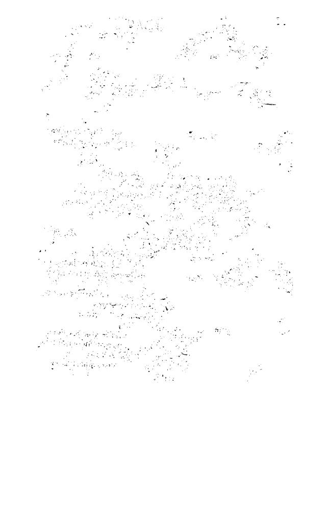 Лукины Л. и Е. - Петлистые времена (Фантоград) - 1996_pic10.jpg