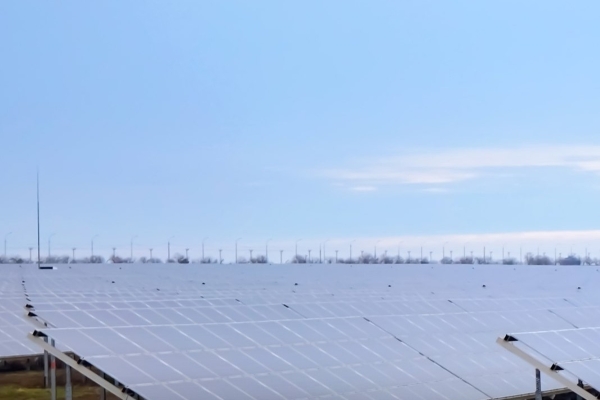 «Россети» подключили новую солнечную электростанцию в Калмыкии
