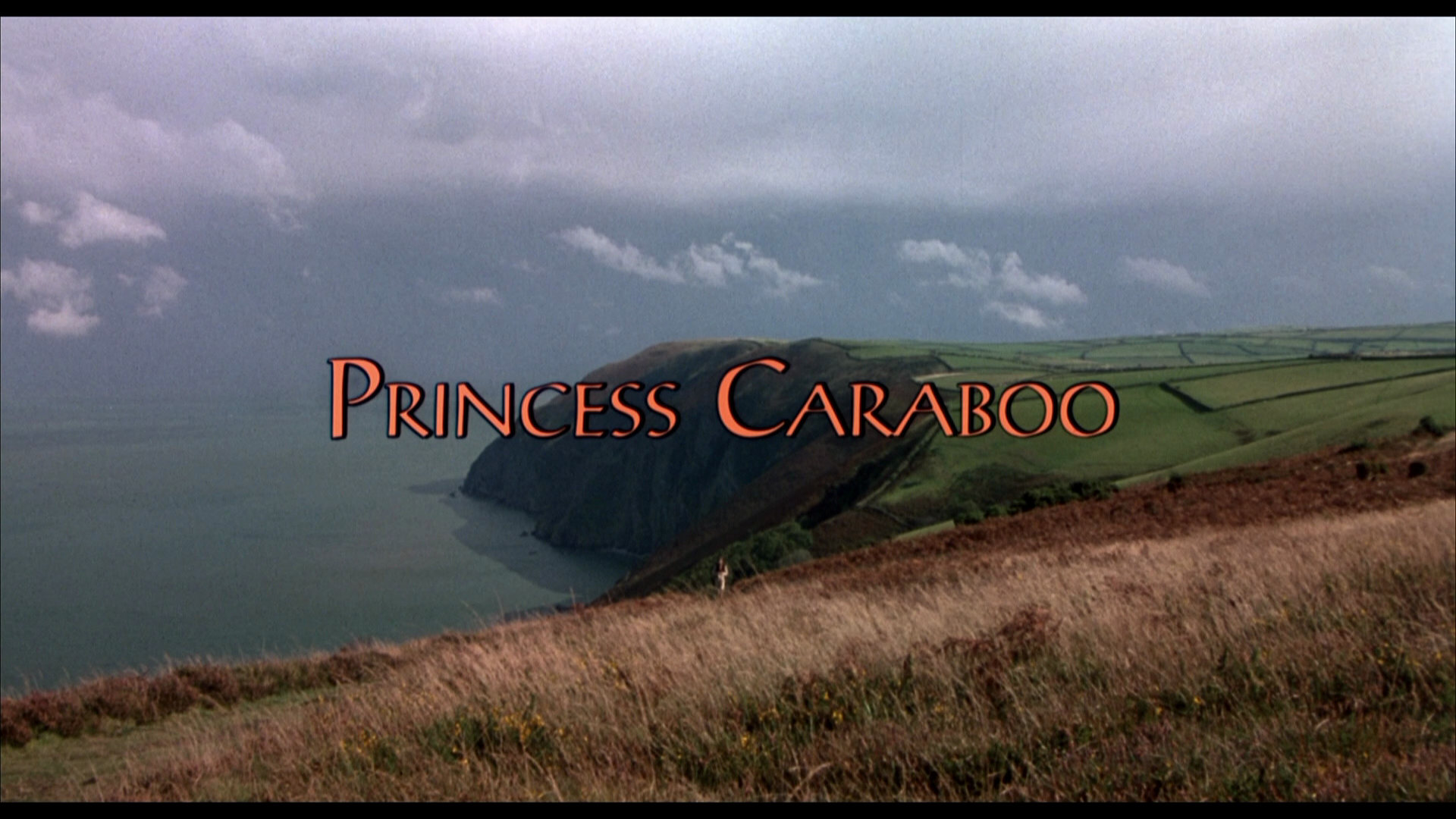 Princess.Caraboo.1994.Shout.Factory.BDRemux.1080p.mkv_20260118_133627.814.png