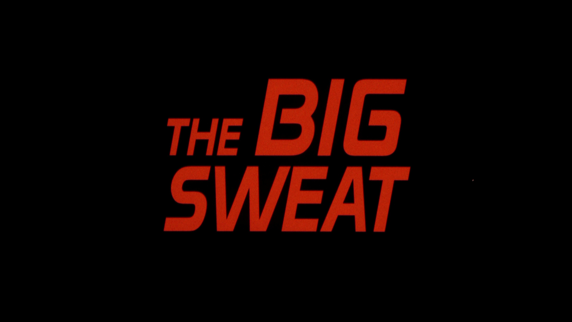 The.Big.Sweat.1991.Dark.Force.Entertainment.BDRemux.1080p.mkv_20260118_172002.656.png