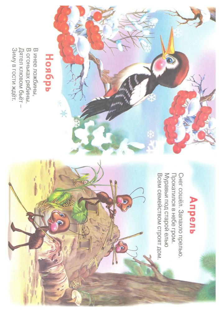 Степанов В. - Лесной календарь (Стихи из букваря) - 2008_pic5.jpg