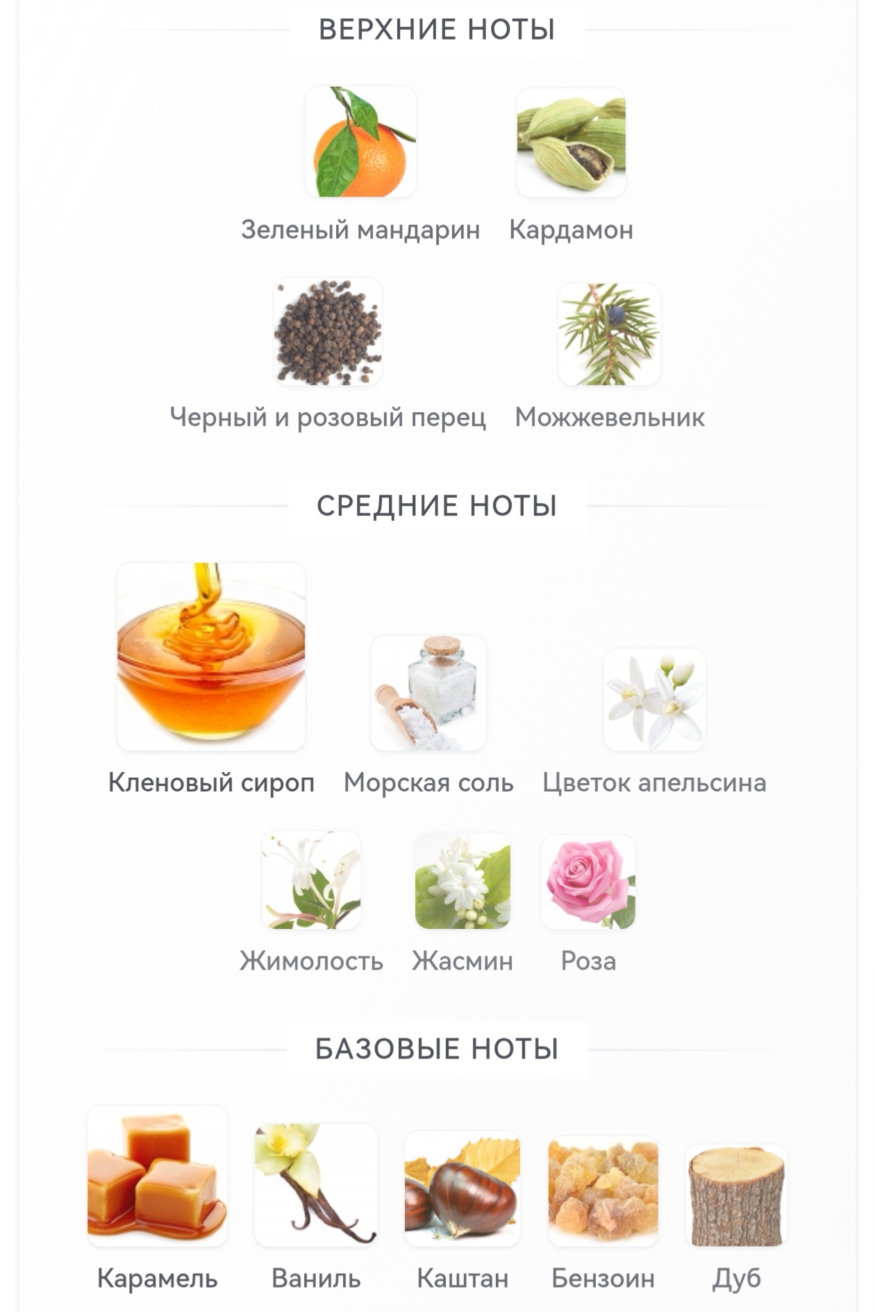 https://i8.imageban.ru/out/2026/02/02/0edea721412db0cb147abca5a9813360.jpg