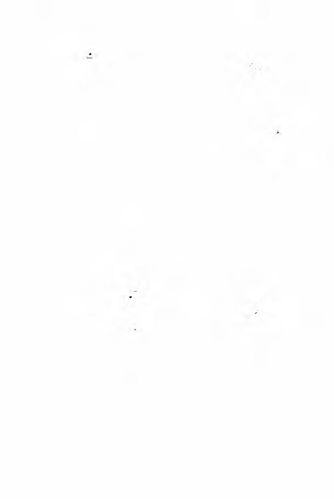 Дрейк Д., Флинт Э. - Пролив победы (Золотая библиотека фантастики) - 2005_pic10.jpg