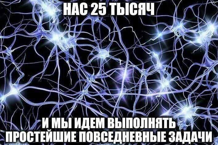 https://i8.imageban.ru/out/2026/02/12/1874fe47bb47f5f32a4e227128799438.png