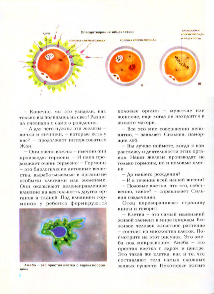 Кан-Натан Ж. и др. - Энциклопедия сексуальной жизни для детей 10-13 лет - 1991_pic10.jpg