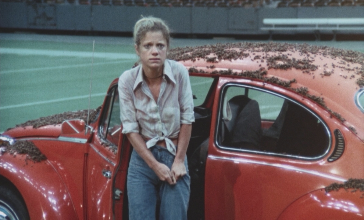 Дикие пчёлы.1976.BDRip 720p msltel.mkv_snapshot_01.26.12.421.jpg