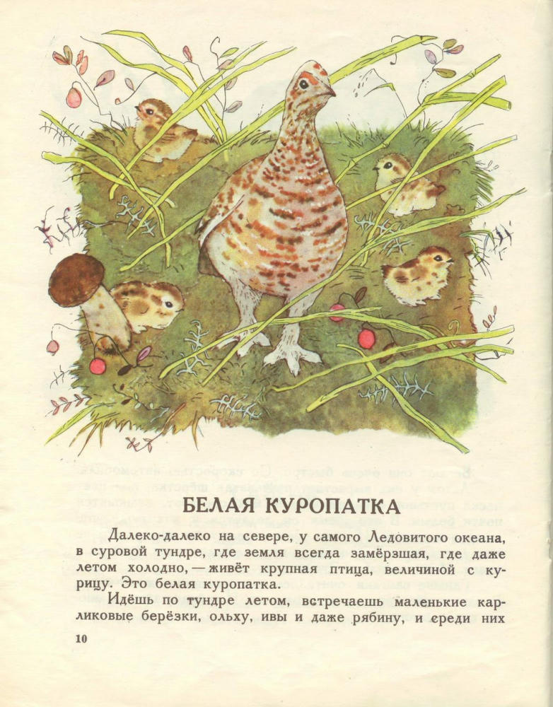 Юнатов Сергей - Зимой и летом (1974)_pic10.jpg