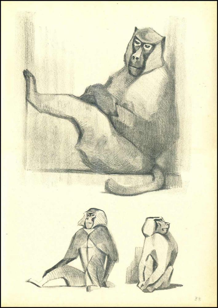 Ватагин В. - Риссунки в автолитографиях - 1922_pic15.jpg