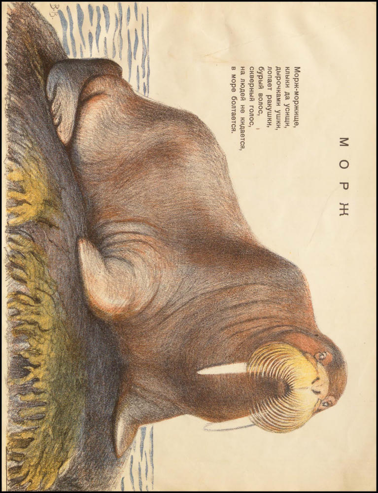 Федорченко С. - Зоологический сад Звери диковинные - 1927_pic5.jpg