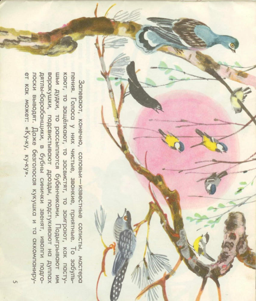 Пинясов Яков - Отчего лягушка сплющилась (1971)_pic5.jpg