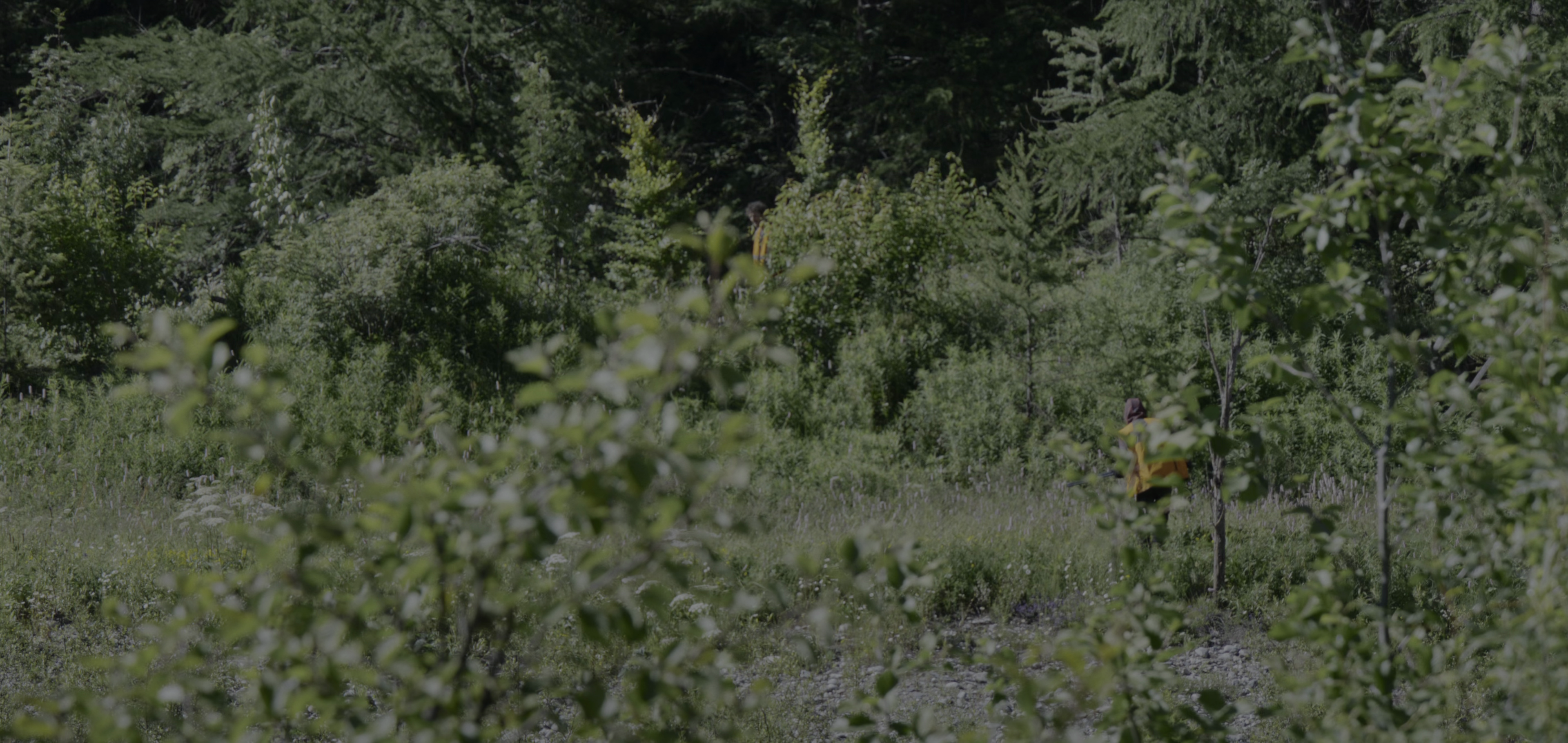 vlcsnap-2026-03-09-14h21m38s266.png