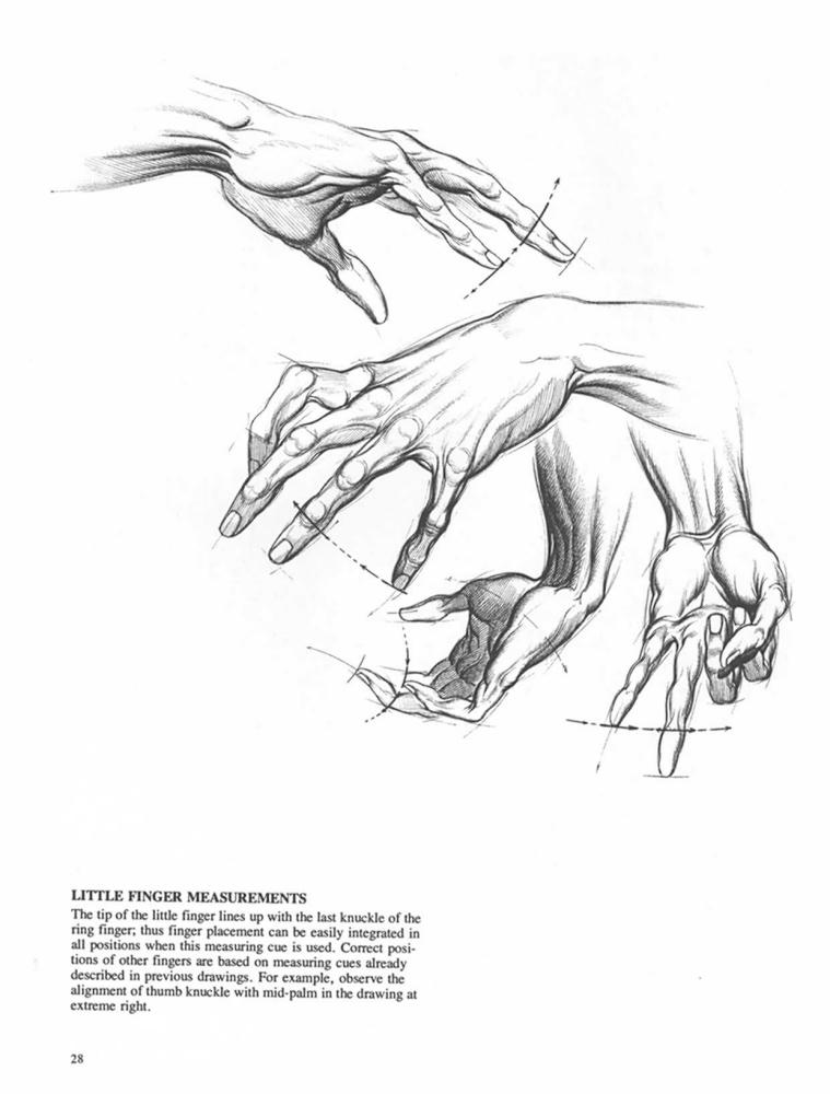 Drawing Dynamic Hands_pic25.jpg