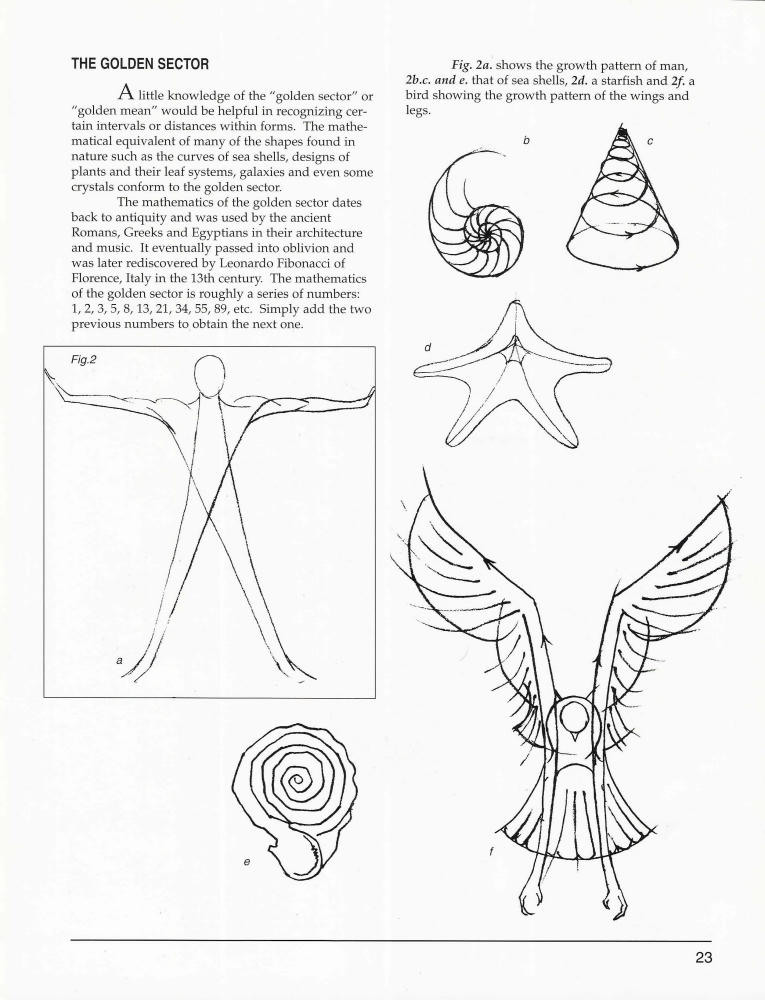 Jack Faragasso - Mastering Drawing the Human Figure - 2004_pic25.jpg