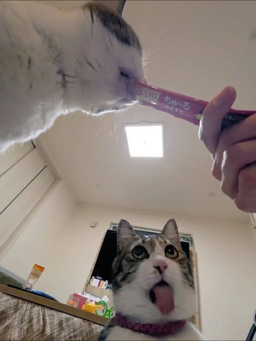 J4elMCQeFczFU01v3ViyTNABX8RWLtCSA6qfURnEFNLqys9n8PF2q_5crIqV-PITCtDPo6t_IZKxQ1YOv8Ny76Rw - копия.jpg