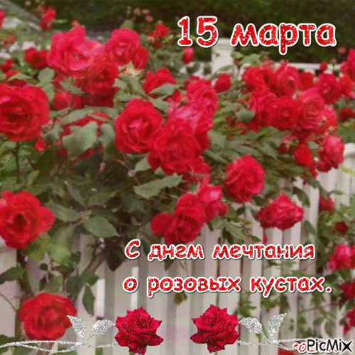 https://i8.imageban.ru/out/2026/03/15/4b408b888492cd9f58cadf7496922f40.gif