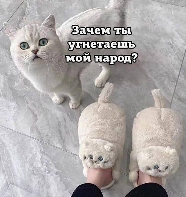 https://i8.imageban.ru/out/2026/03/16/a39590051a883c58d89756aee8d2921c.jpg