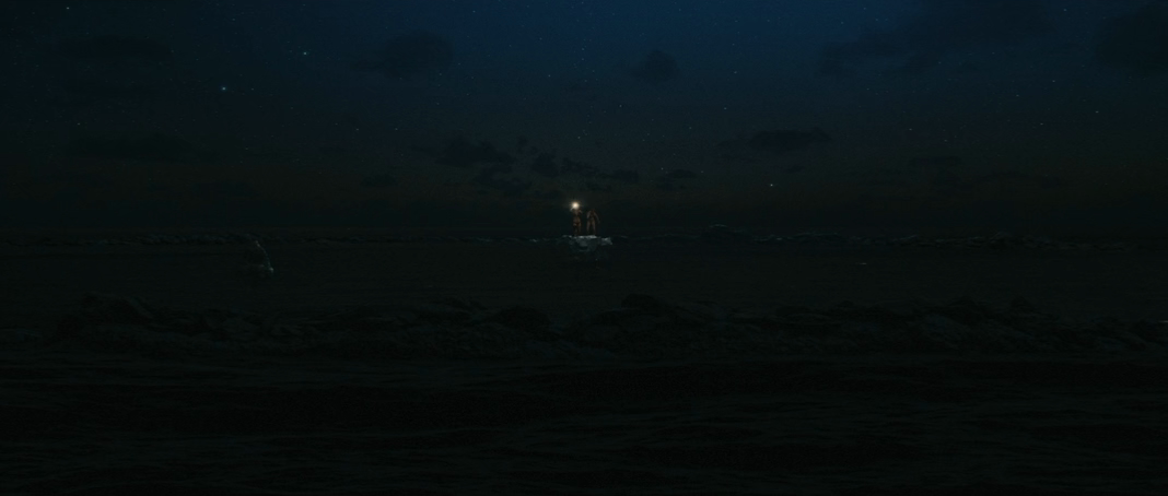 Кит-убийца (2026) WEB-DLRip-AVC_ivanes.mkv_20260321_150154.251.png