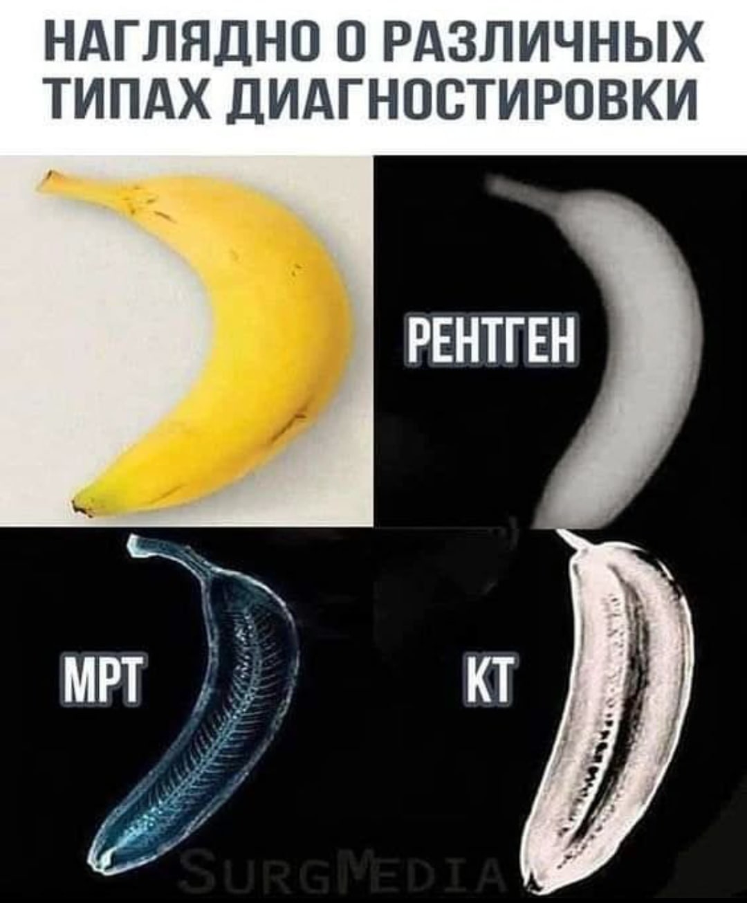 BJpt1r18elLIMVbgoDKVoci0w_QSkL0hEyteYPgCn7AtCISVa8OMUWXnlWu0dm4JSDbKBPVBr6ZtThcRLO334SIM.jpg