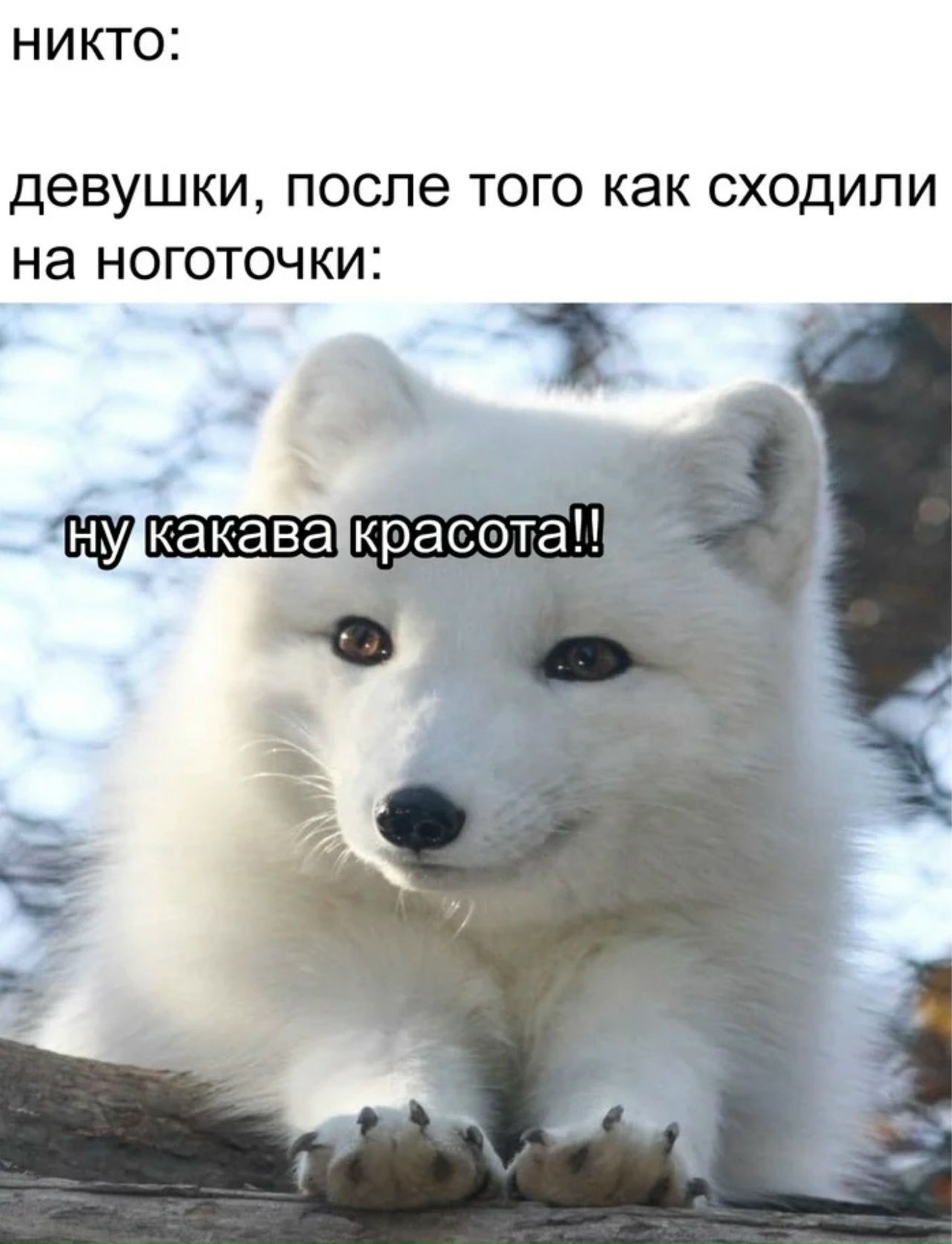 f5z6S7mp0a500HrSlzXp1hnqo3kMw95GZLSp5KOjlJNv1nT3WYZaXEnRGadtOQR_RXnbr36L5w1goNNSR2xLAoaw.jpg