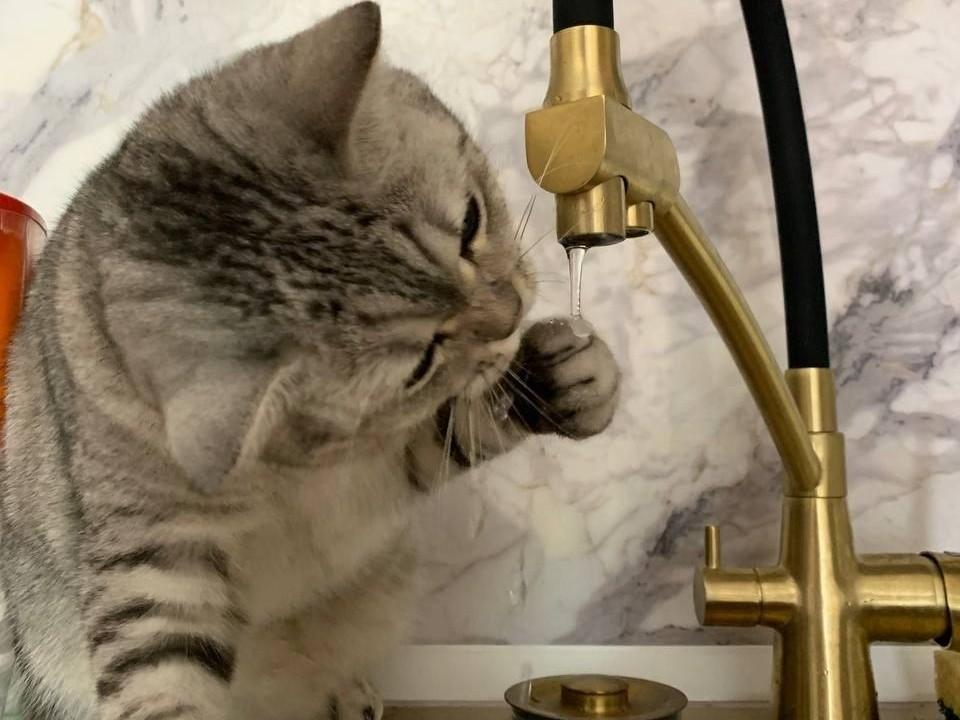 Холодную воду отключат в четырёх районах Перми с 28 марта по 5 апреля