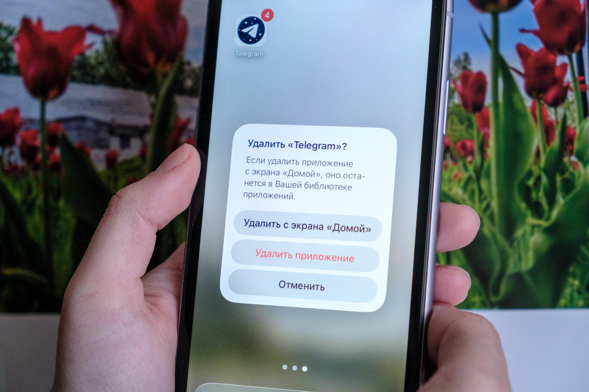 Telegram могут заблокировать в России с 1 апреля из-за нарушений закона