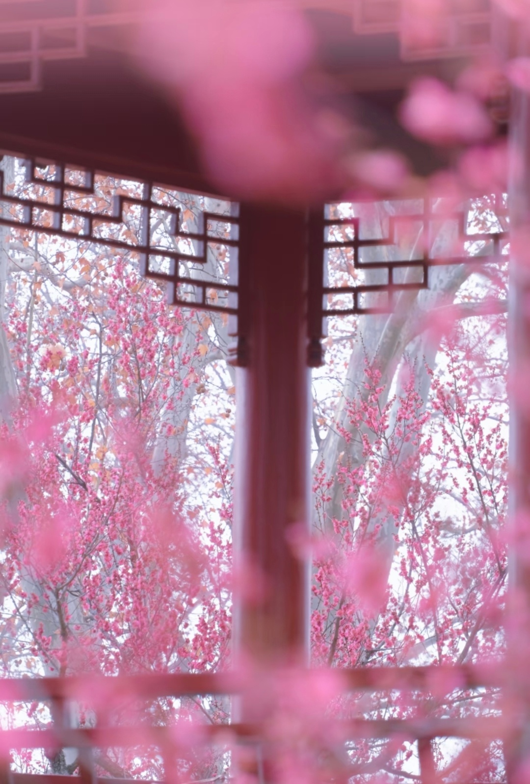 a7295e45gy1i9q8oymmluj20u018ek41.jpg