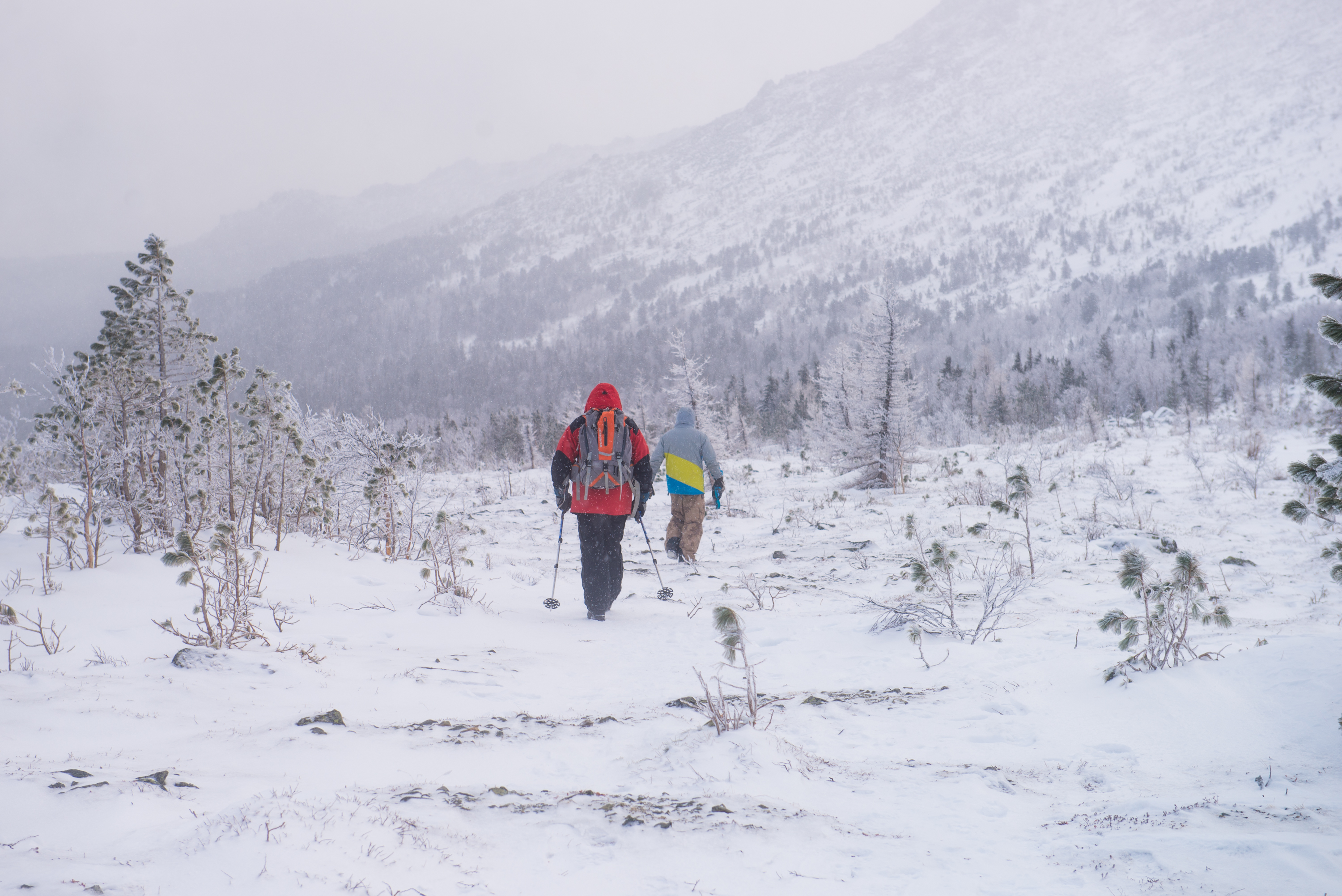 Семь туристов без палатки и связи пропали в районе Авачинского перевала