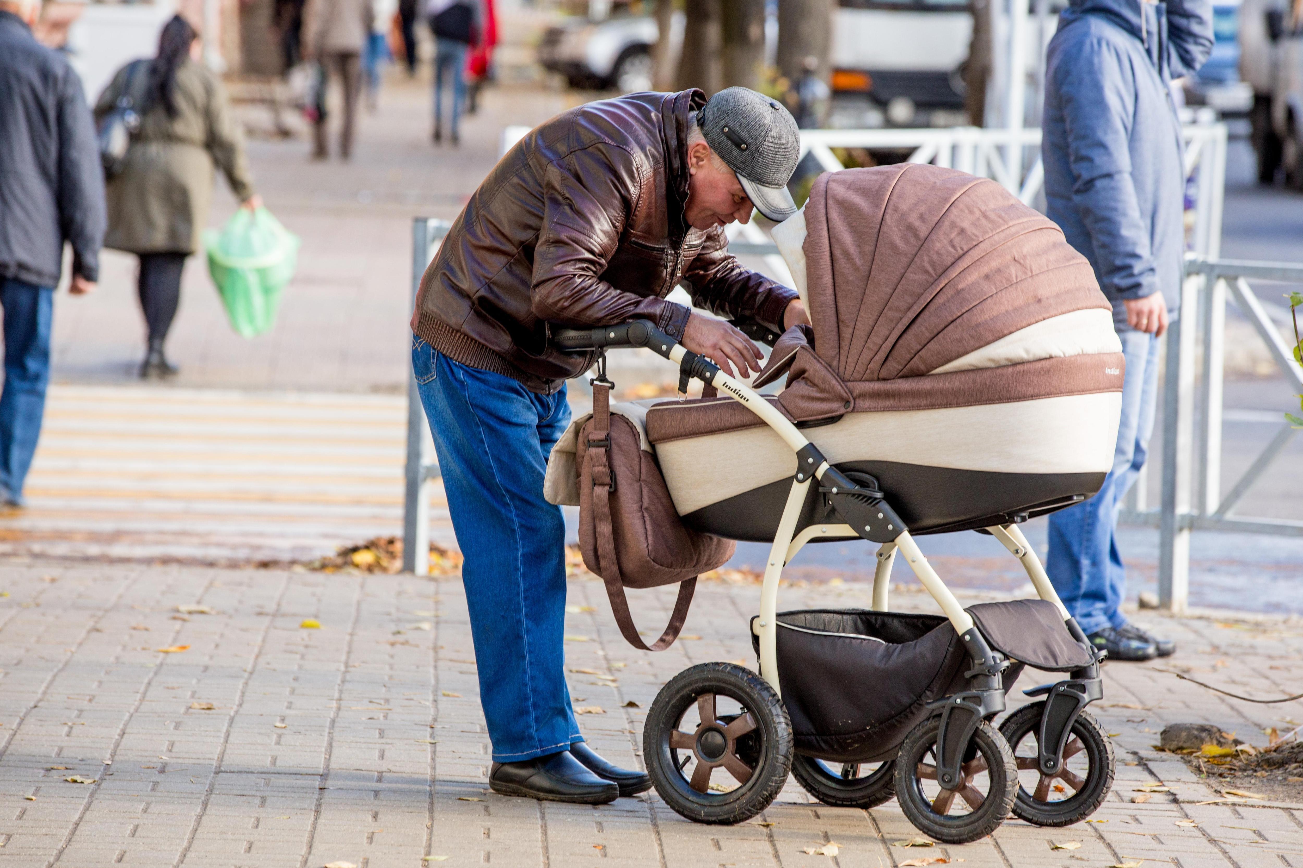 Штрафы за брошенных животных и новые правила развода: главные новости для пермяков