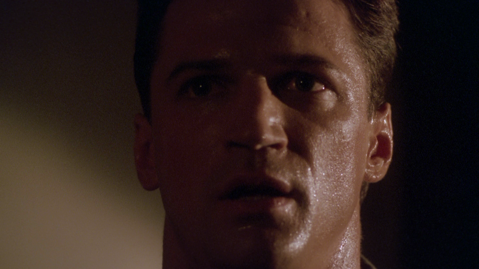 Shadowzone.1990.Wicked-Vision.Media.BDRemux.1080p.mkv_20260418_105046.034.png