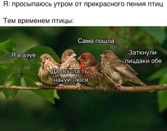 https://i8.imageban.ru/out/2026/04/26/9084fd61369213920c36442a08bc8e34.png