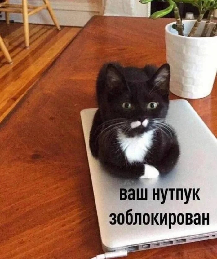 04.jpg