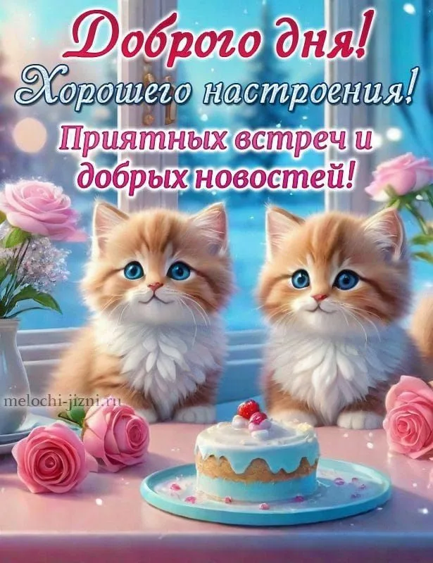 https://i8.imageban.ru/out/2026/04/26/ebcad6b649d4b980f725e9e22a0c489b.webp