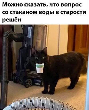 https://i8.imageban.ru/out/2026/05/01/1ec0366957a1182d4eb181fd556fd0f1.jpg