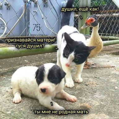 https://i8.imageban.ru/out/2026/05/01/607b07d25cdc2d080929b456898781e2.jpg