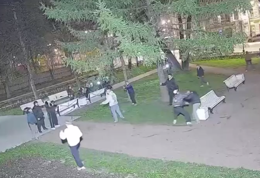 Массовая драка в сквере на Суворовском проспекте закончилась уголовным делом