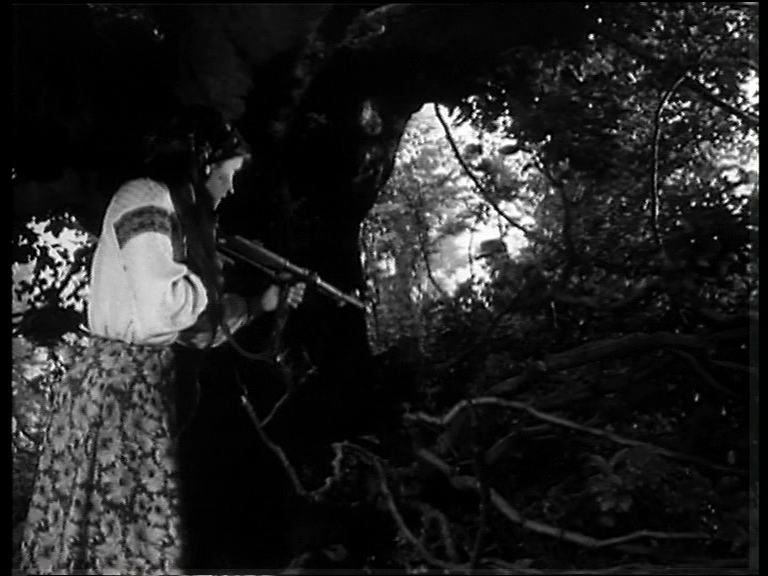 dvd_snapshot_00.47.40.320.png