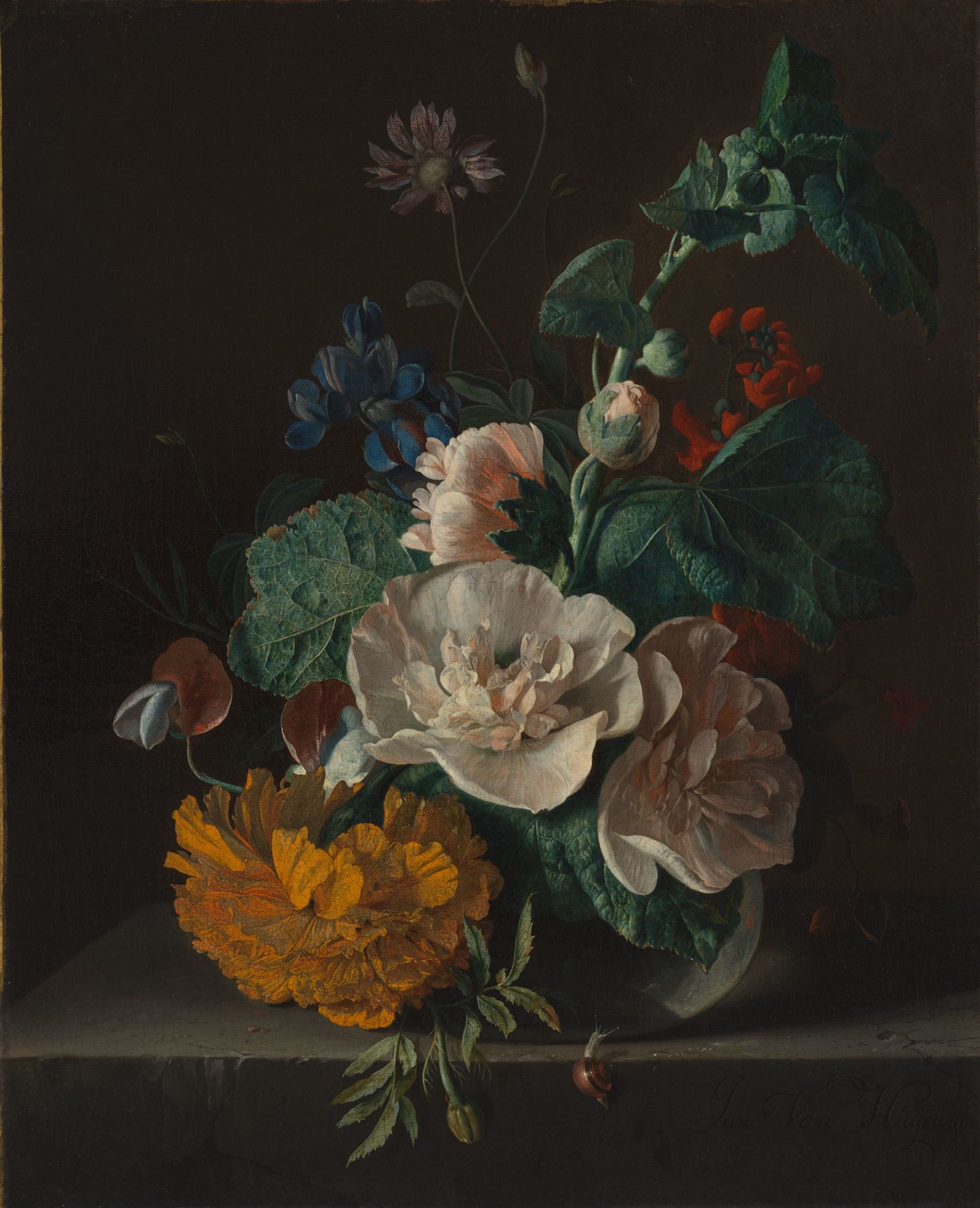38Jan_van_Huysum_-_Floral_Still_Life_with_Hollyhock_and_Marigold.jpg