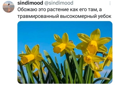 https://i8.imageban.ru/out/2026/05/07/693aeaa5d726672a35d4b256d4535204.jpg