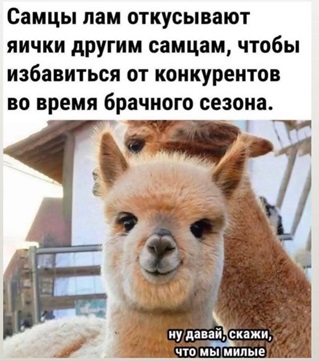 https://i8.imageban.ru/out/2026/05/09/55784ed23a0cee7e53a86196af00c51a.jpg