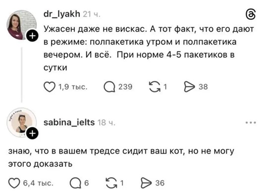 https://i8.imageban.ru/out/2026/05/09/6d1557497d06c0f063d190add99c72e6.jpg