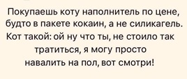 https://i8.imageban.ru/out/2026/05/09/d42ae9cb8ffaa13401e6015c71657b87.jpg