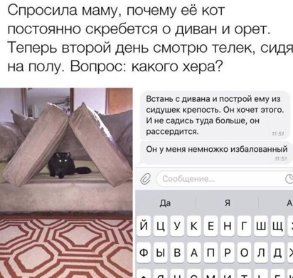 https://i8.imageban.ru/out/2026/05/09/e96cc0935e5b7c6d57e80a0e75095922.jpg