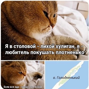 https://i8.imageban.ru/out/2026/05/12/6b96cbbb77240a51eae98a8486731074.png