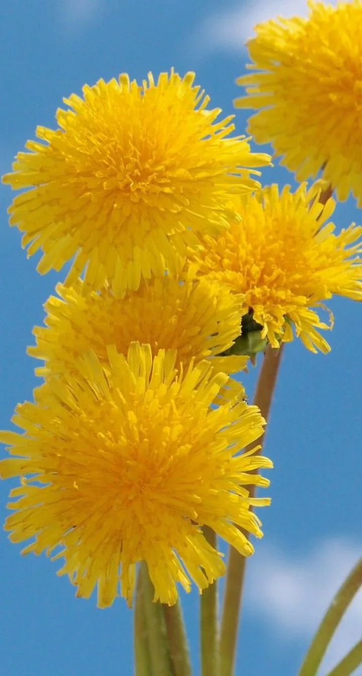 https://i8.imageban.ru/out/2026/05/13/1aa894200f305d57cced148f801a576a.webp