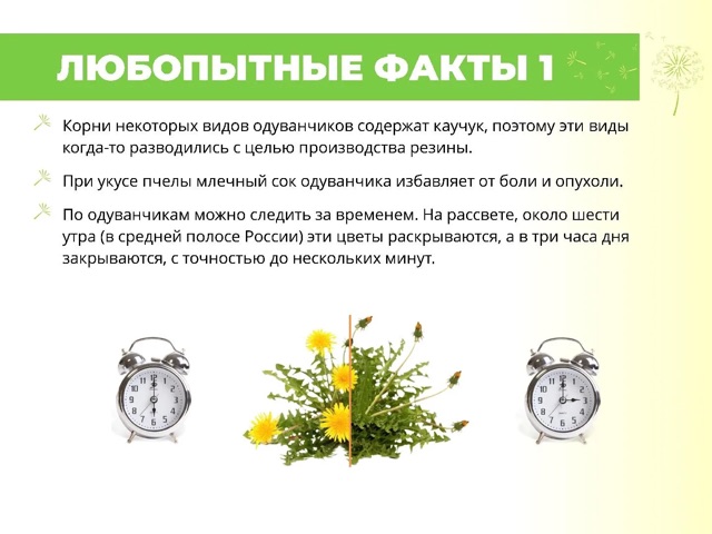 https://i8.imageban.ru/out/2026/05/13/b70ee6aade8bf2c62ba73f0e03980271.jpeg