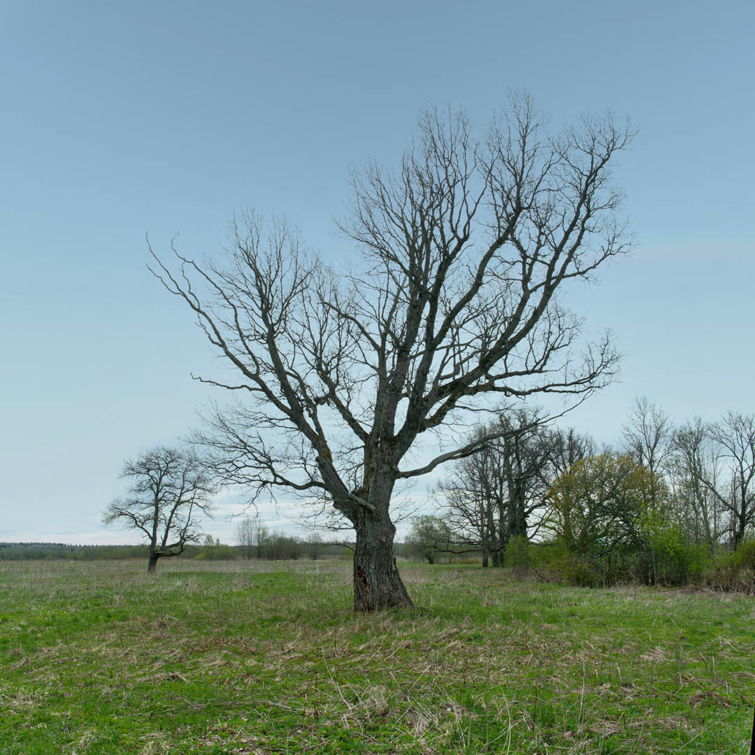 _9714-16(1)_SL.jpg