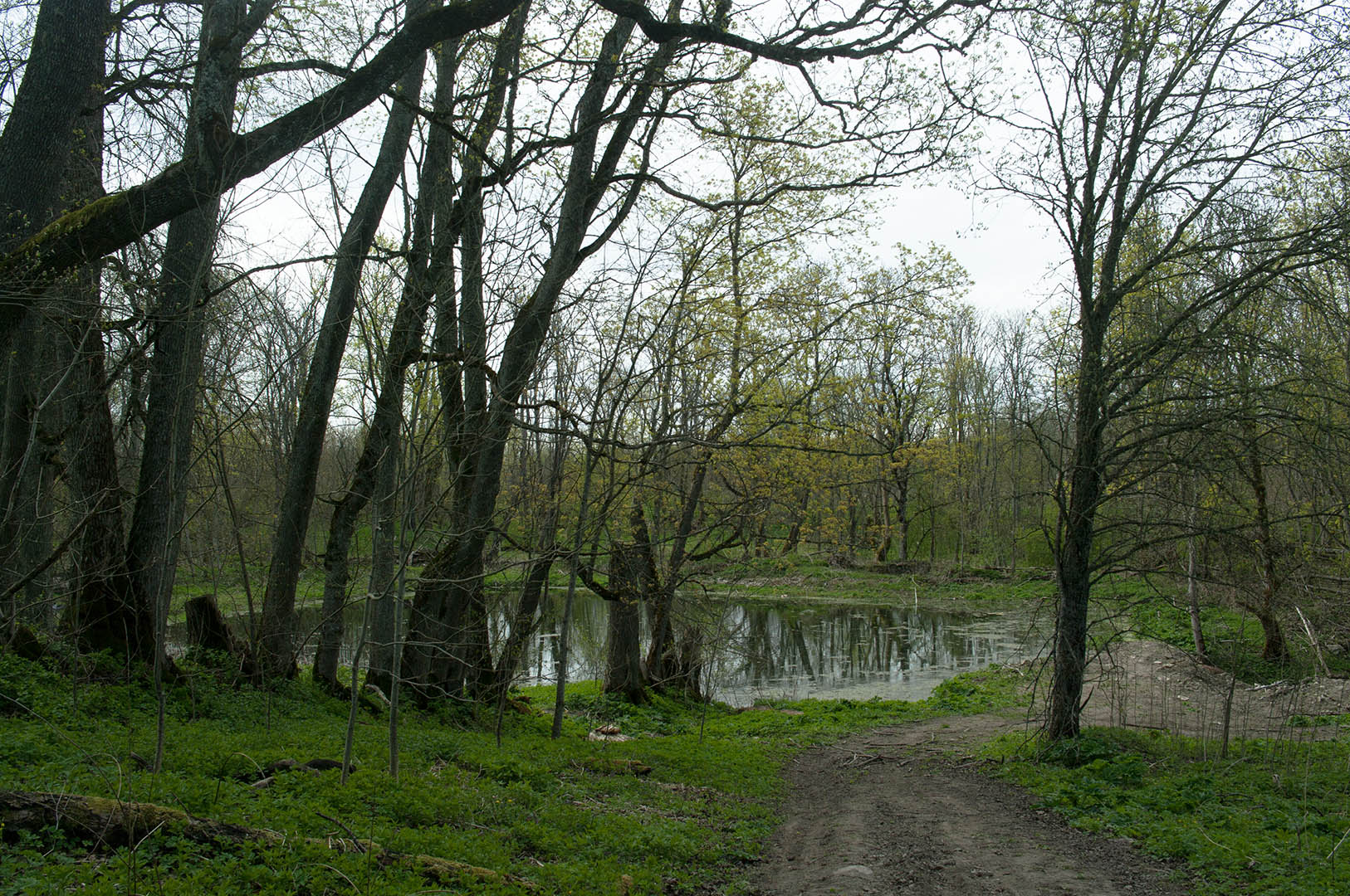 _9645.jpg