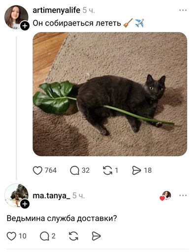 https://i8.imageban.ru/out/2026/05/15/8ef1f509badfc42c1ac667e6695fa374.jpg