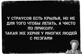 https://i8.imageban.ru/out/2026/05/17/cad30c100d69fbe4fcd9cc372b872f07.jpg